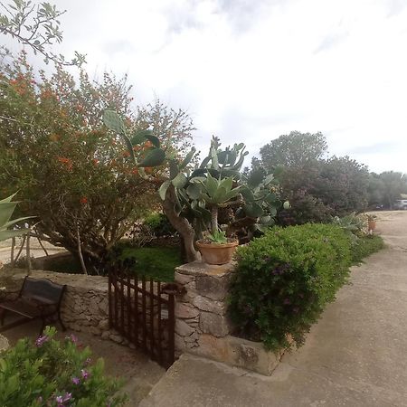 Casa Rural Es Cap De Barbaria San Francisco Javier Eksteriør billede