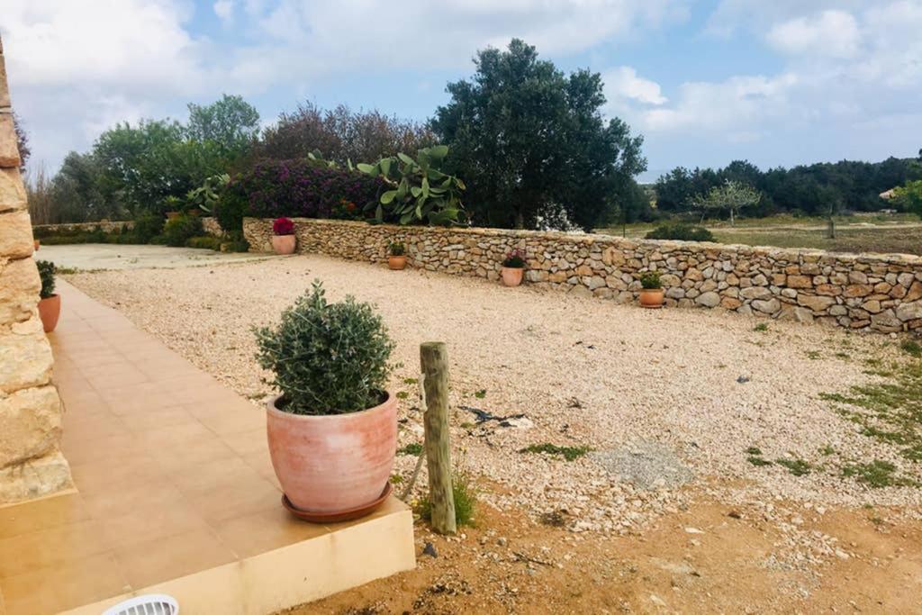 Casa Rural Es Cap De Barbaria San Francisco Javier Eksteriør billede