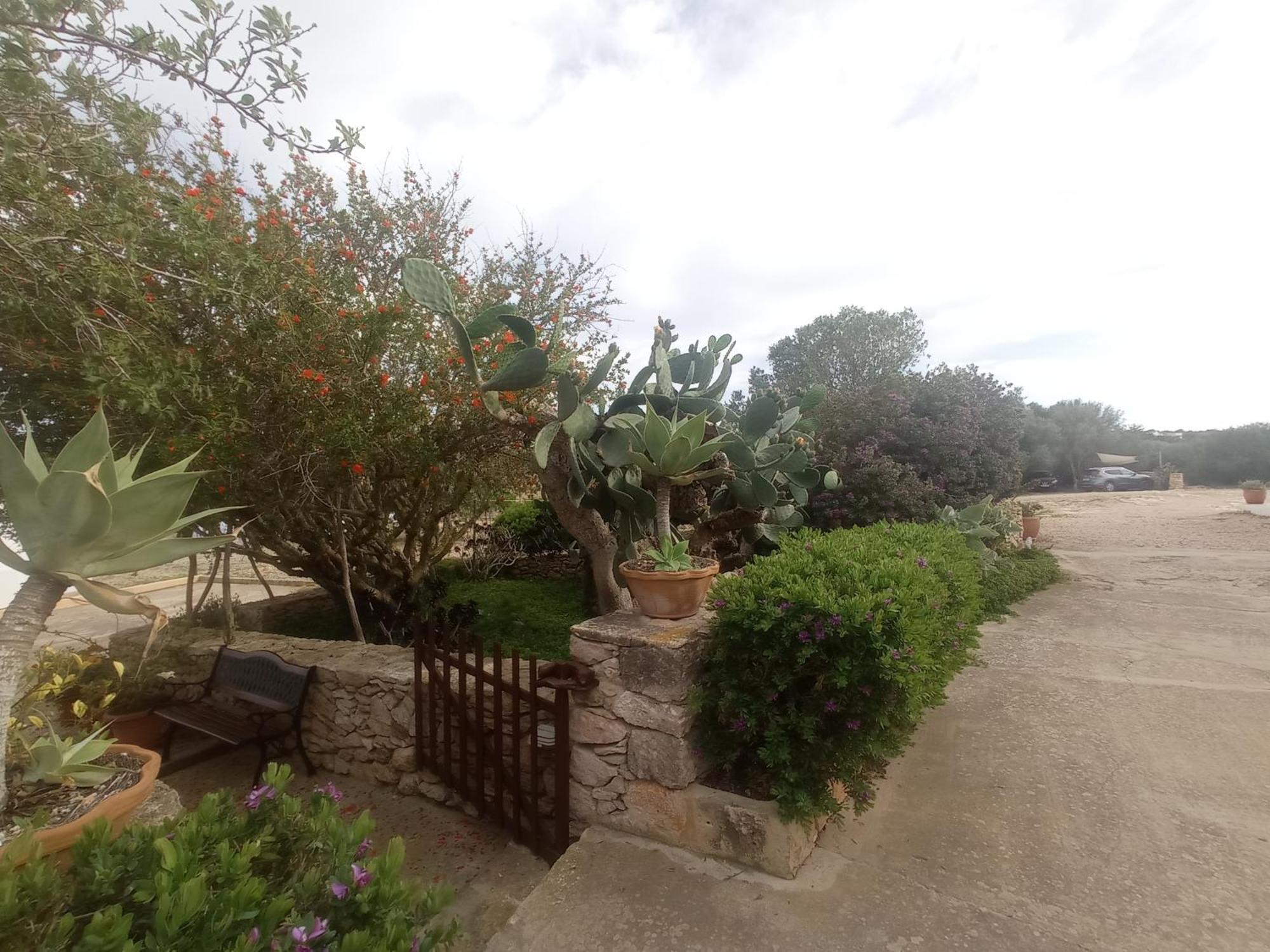 Casa Rural Es Cap De Barbaria San Francisco Javier Eksteriør billede